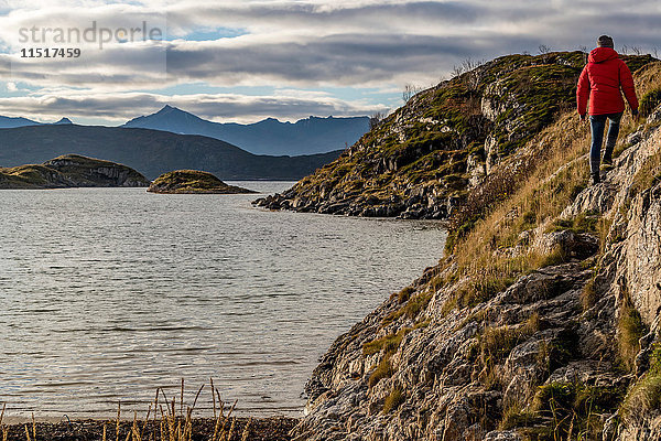 Frau wandert im Herbst auf der Insel Sommaroy  Arktis Norwegen