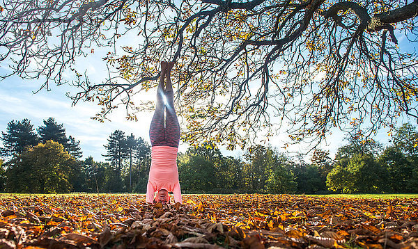 Frau macht am Herbsttag Yoga im Park