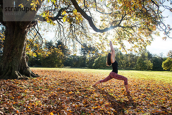 Frau macht am Herbsttag Yoga im Park