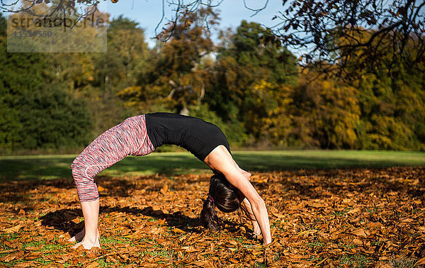 Frau macht am Herbsttag Yoga im Park