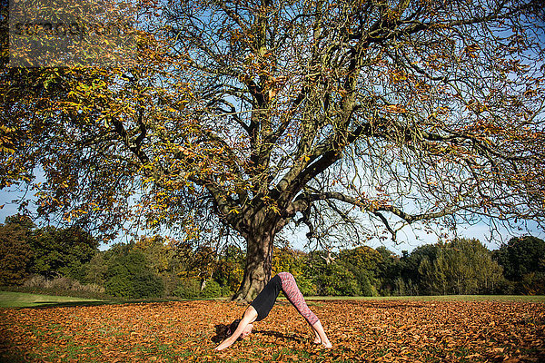 Frau macht am Herbsttag Yoga im Park