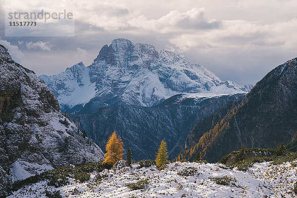 Gebiet der Drei Zinnen  Südtirol  Dolomiten  Italien