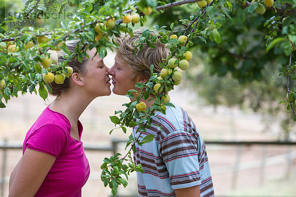 Romantisches junges Paar küsst sich unter einem Pflaumenbaum auf einem Biobauernhof