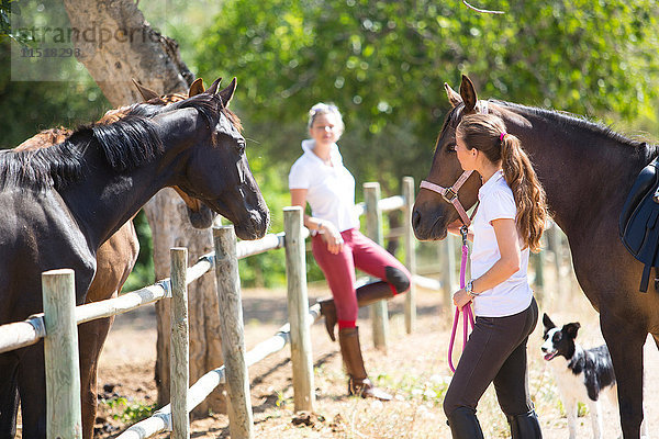 Weibliche Stallknechte führen Pferd in ländliche Ställe auf die Koppel