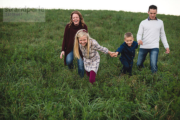 Familie hält sich beim Gehen im Feld an den Händen
