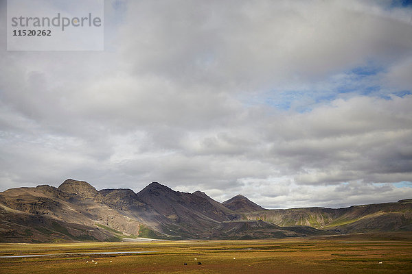 Ferne Landschaft aus Tal und Bergen  Island