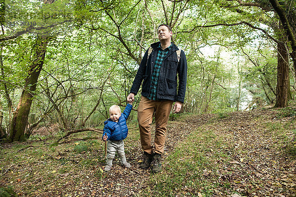 Vater und Sohn gehen durch den Wald und halten sich an den Händen