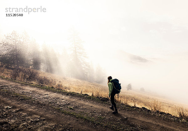 Junge Frau beim Trekking entlang des Weges  Missoula  Montana  USA