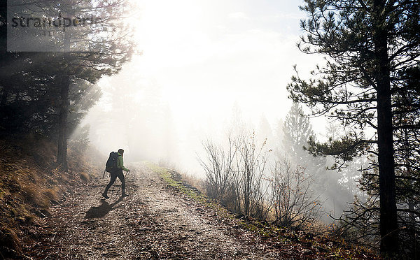 Junge Frau beim Trekking entlang des Weges  Missoula  Montana  USA