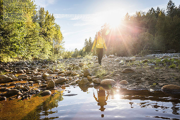 Wanderin wandert im Flussbett des Englishman River Falls Provincial Park   Vancouver Island  British Columbia  Kanada