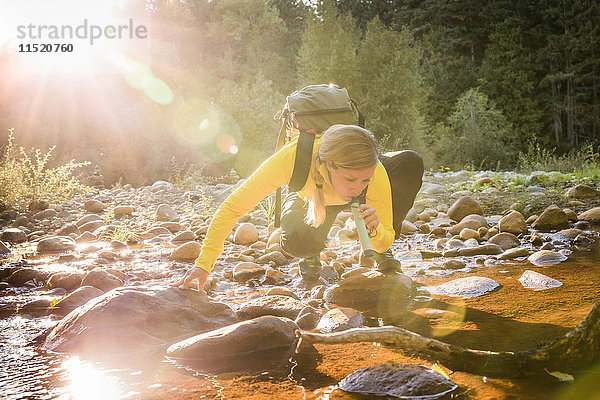 Weibliche Wanderin trinkt Flusswasser mit Wasserfilter im englischen River Falls Provincial Park   Vancouver Island  British Columbia  Kanada