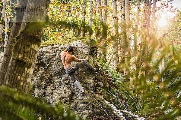 Männlicher Boulderer bewegt sich auf Waldgestein  Horne Lake Caves Provincial Park  Vancouver Island  British Columbia  Kanada