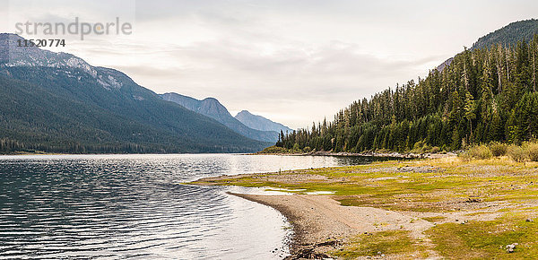 Wald-  See- und Berglandschaft  Strathcona-Westmin Provincial Park  Vancouver Island  Britisch-Kolumbien  Kanada