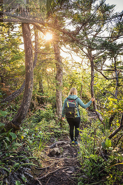 Wanderin beim Wandern im Wald  Pacific Rim National Park  Vancouver Island  British Columbia  Kanada