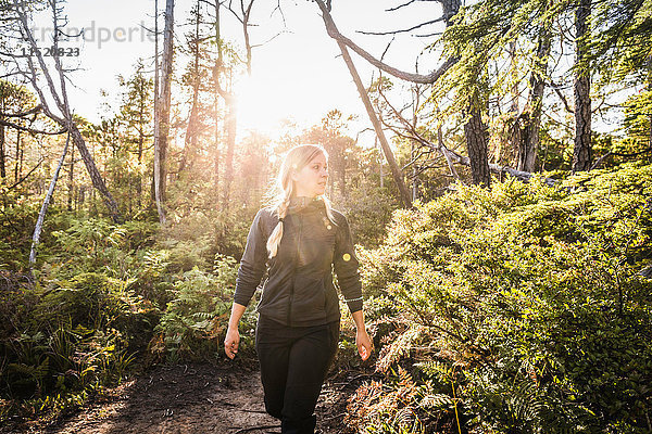 Wanderin wandert durch sonnenbeschienenen Regenwald  Pacific Rim National Park  Vancouver Island  British Columbia  Kanada