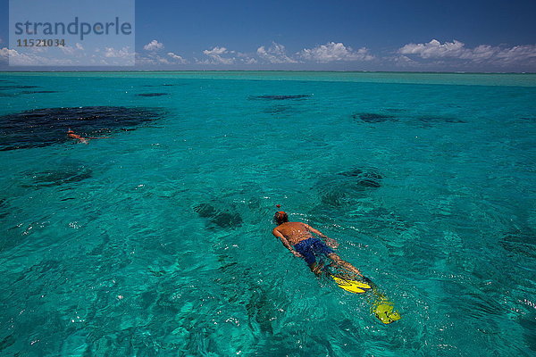 Erwachsener Mann beim Schnorcheln im Meer  Ile aux Cerfs  Mauritius