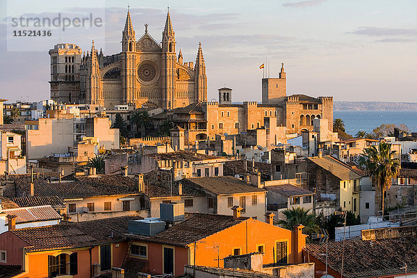 Stadtbild mit Kathedrale La Seu und Dächern  Palma de Mallorca  Mallorca  Spanien