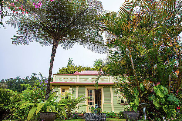 Traditionelles grünes Holzhaus und Palmen  Insel Reunion