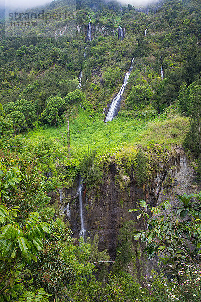 Erhöhter Blick auf den Wasserfall des Bergregenwaldes  Insel Réunion