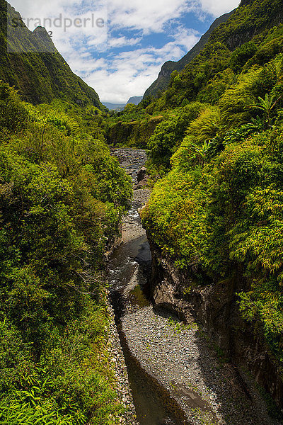 Hochwinkelansicht der Berglandschaft des Regenwaldes und des Flusses  Insel Réunion