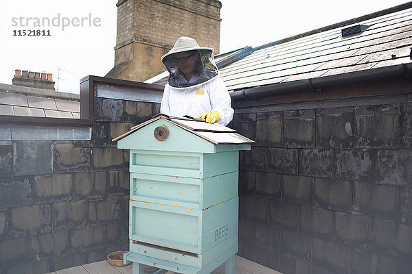 Imker im Bienenanzug  Vorbereitung zur Inspektion des Bienenstocks