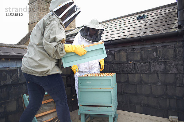 Zwei Imkerinnen  die den Bienenstock inspizieren.