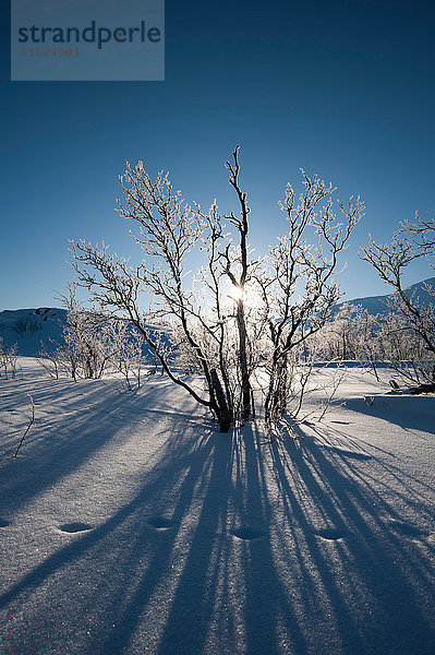 Eine gefrorene Landschaft bei Kiruna  Schweden