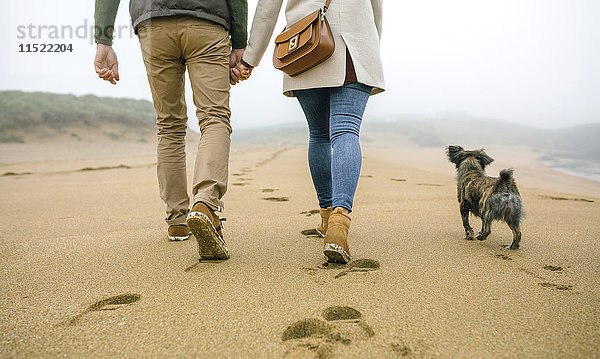 Niedriger Abschnitt des Paares  das im Winter mit Hund am Strand spazieren geht.