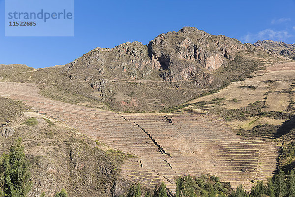 Peru  Anden  Valle Sagrado  Inka-Ruinen von Pisac  Terrassen von Andenes