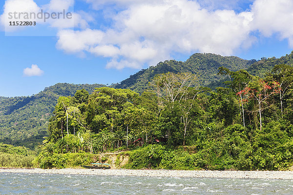 Peru  Amazonasbecken  Rio Madre de Dios