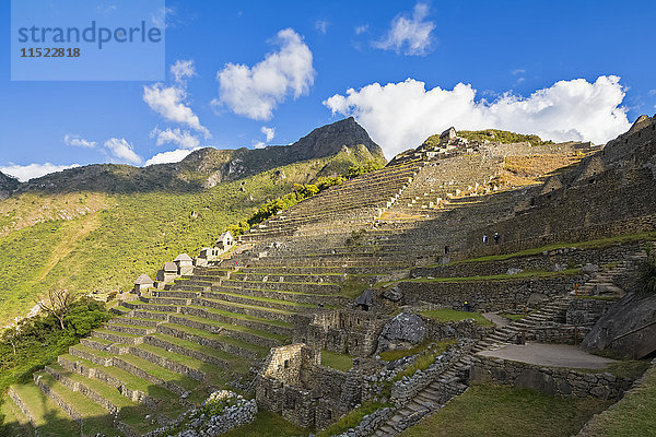 Peru  Anden  Urubamba-Tal  Machu Picchu  Terrassen mit Berg Machu Picchu