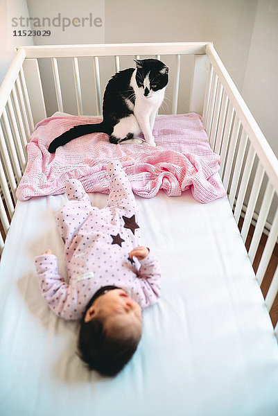 Neugeborenes Mädchen in der Krippe liegend mit einer Katze