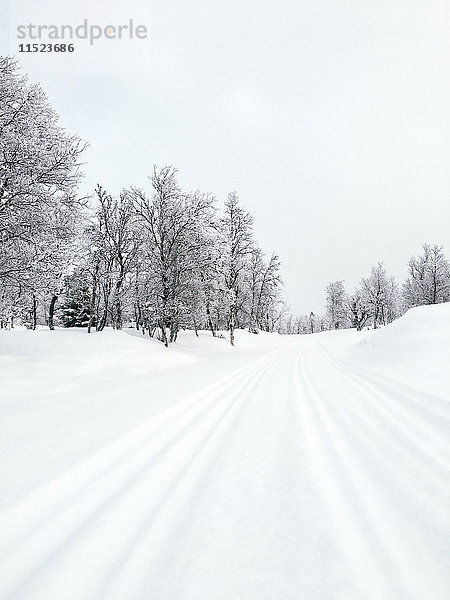 Norwegen  Oppland  schneebedeckte Langlaufloipe in Winterlandschaft