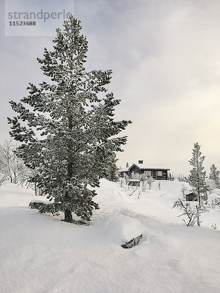 Norwegen  Oppland  Blockhaus in Winterlandschaft