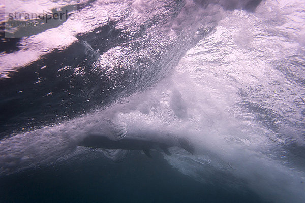 Indonesien  Bali  Unterwasseraufnahme eines Surfers