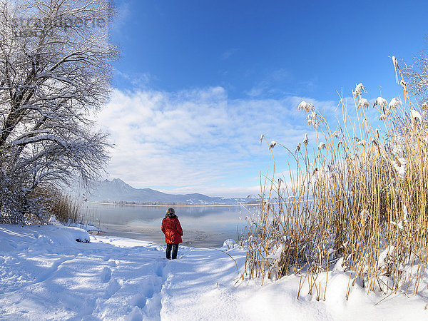 Deutschland  Bayern  Kochel am See  Frau stehend am Kochelsee im Winter