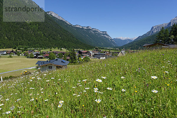 Österreich  Tirol  Waidring  Blick auf das Dorf mit Steinplatte und Loferer Steingebirge im Hintergrund