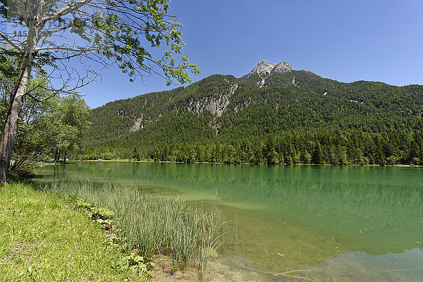 Österreich  Tirol  Sankt Ulrich am Pillersee  Blick auf den Pillersee mit Ulrichshorn im Hintergrund