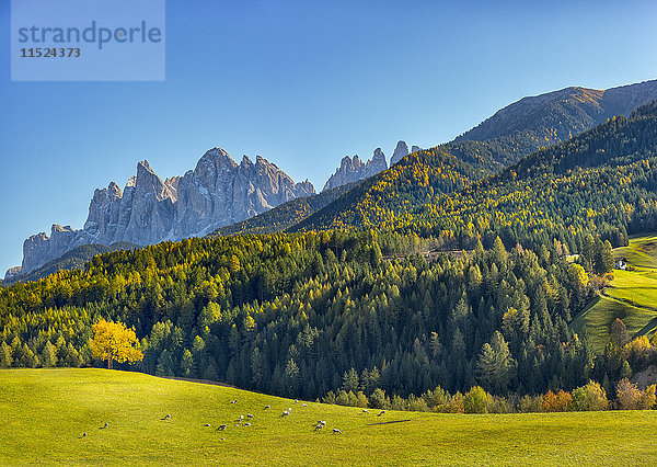 Italien  Südtirol  Funes-Tal  Odle-Gruppe im Herbst