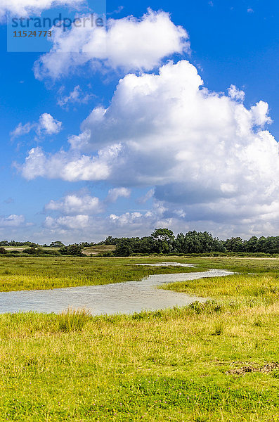 Niederlande  Zeeland  Walcheren  Landschaft bei Oostkapelle