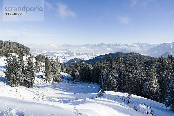 Deutschland  Nesselwang  Winterlandschaft