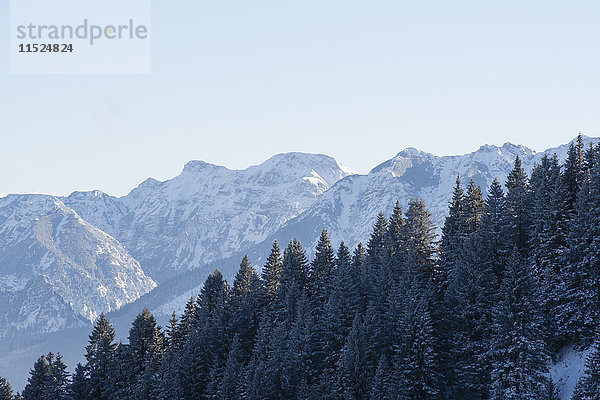 Deutschland  Nesselwang  Allgäuer Alpen  Blick auf schneebedeckte Gipfel