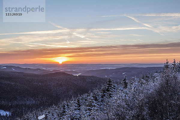 Deutschland  Sachsen-Anhalt  Nationalpark Harz  Sonnenuntergang im Winter