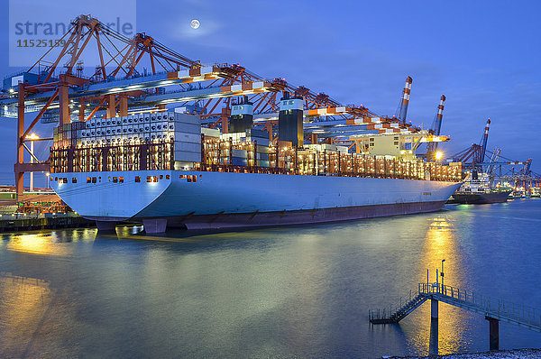 Deutschland  Hamburg  Containerschiff im Terminal am Morgen