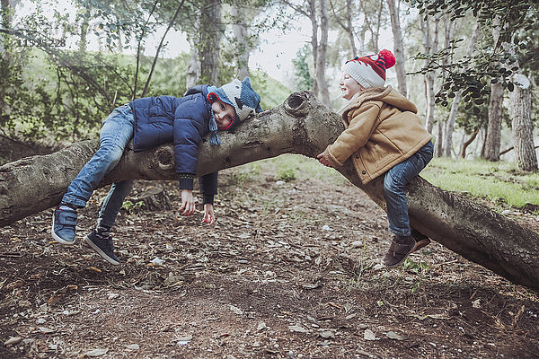 Zwei Jungen spielen auf einem Baum im Wald