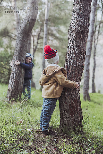 Zwei Jungen spielen im Wald