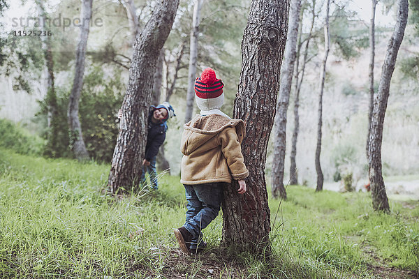 Zwei Jungen spielen im Wald