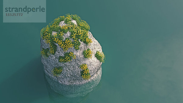 Blühende Pflanzen auf Felsen im Wasser  3D Rendering