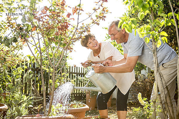 Glückliches Seniorenpaar in der Gartenbewässerung zusammen