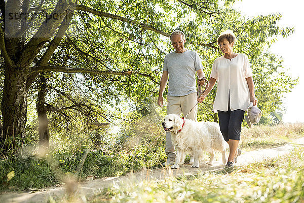 Seniorenpaar beim Walken mit Hund